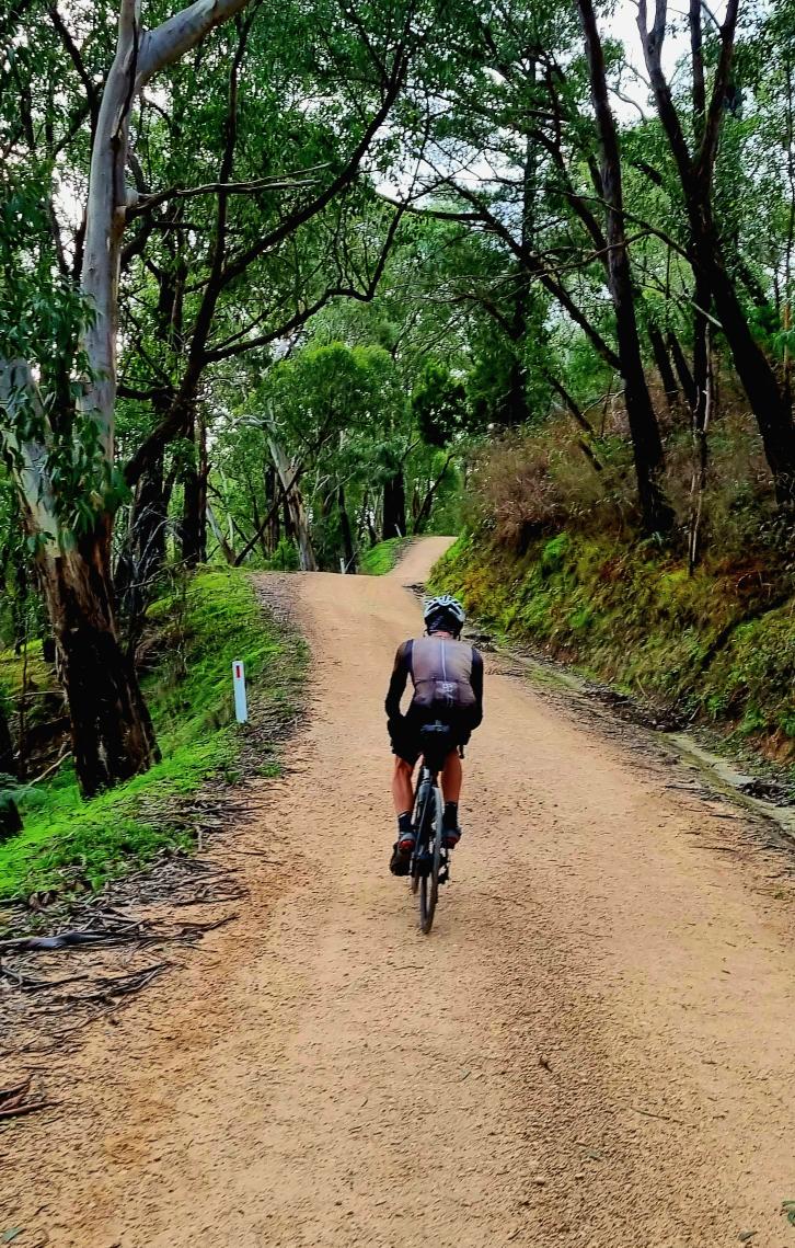 Cycling